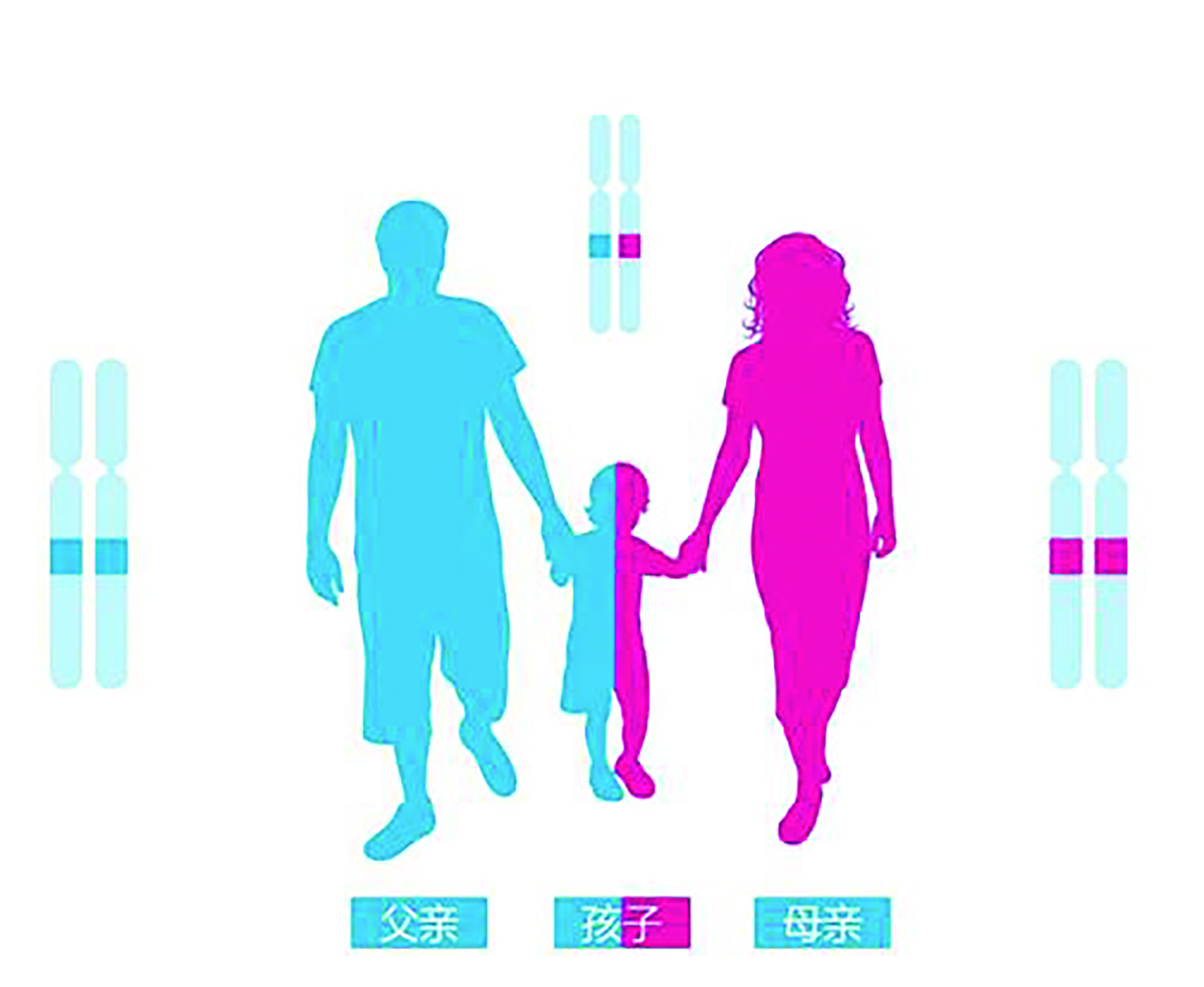 1578043316195256.jpg 親子鑒定.jpg