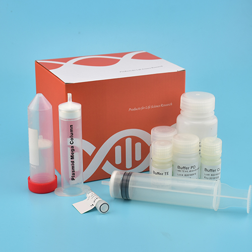質粒提取試劑盒（官網）.jpg