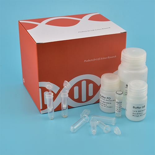 1578477250474270.jpg 基因組提取試劑盒(官網).jpg