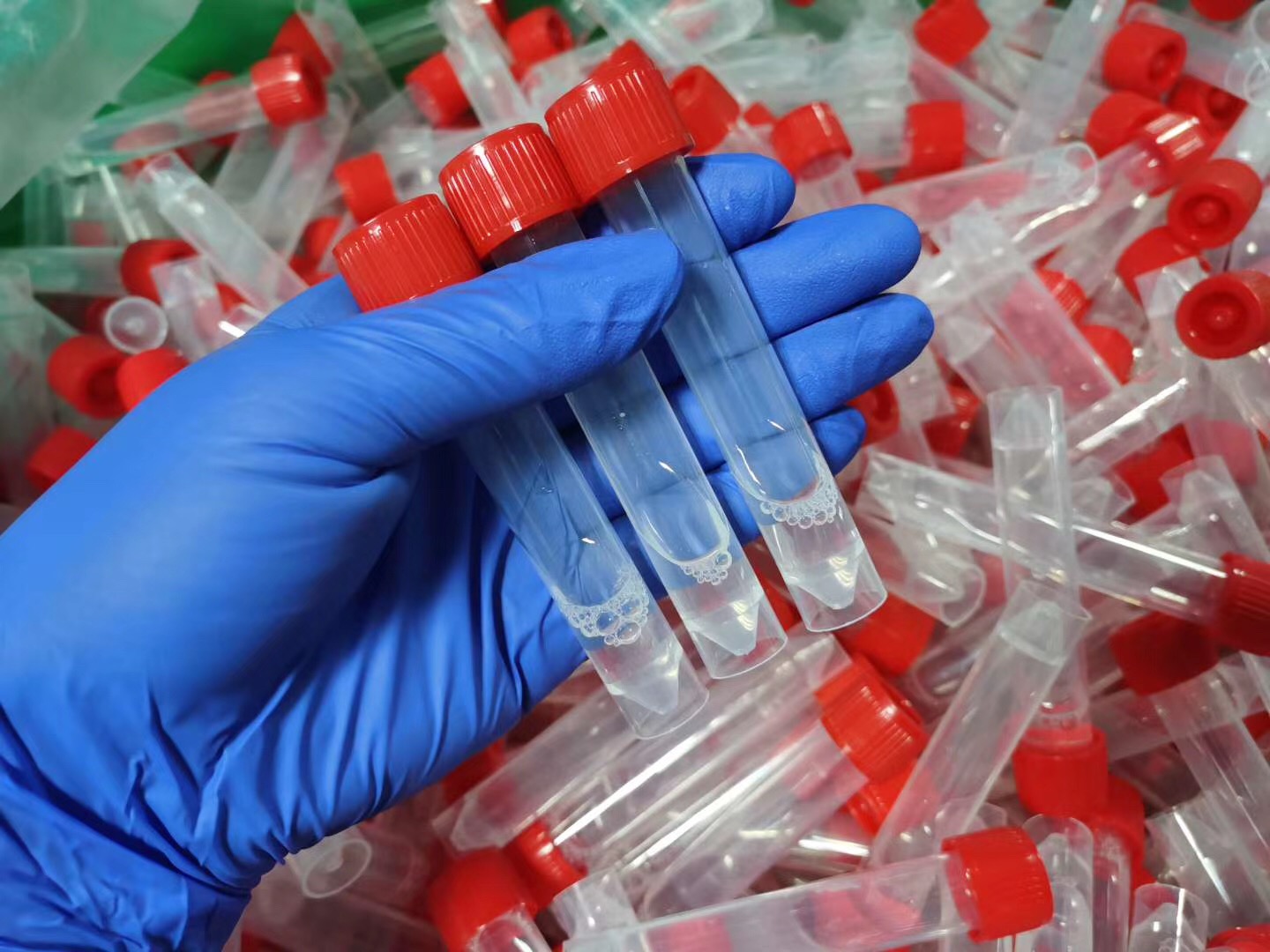 1592988578680112.jpg 滅活款.jpg