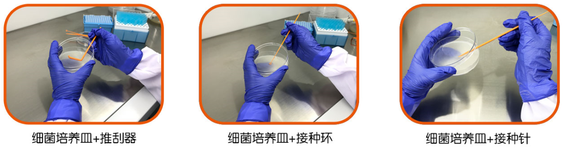 1597738464811196.jpg 1597736773(4).jpg