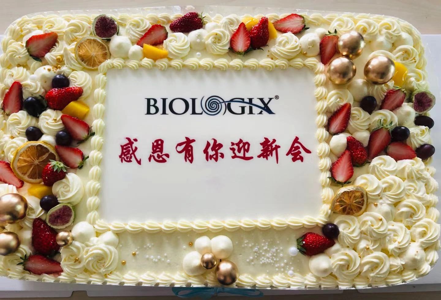 迎新蛋糕圖片.jpg