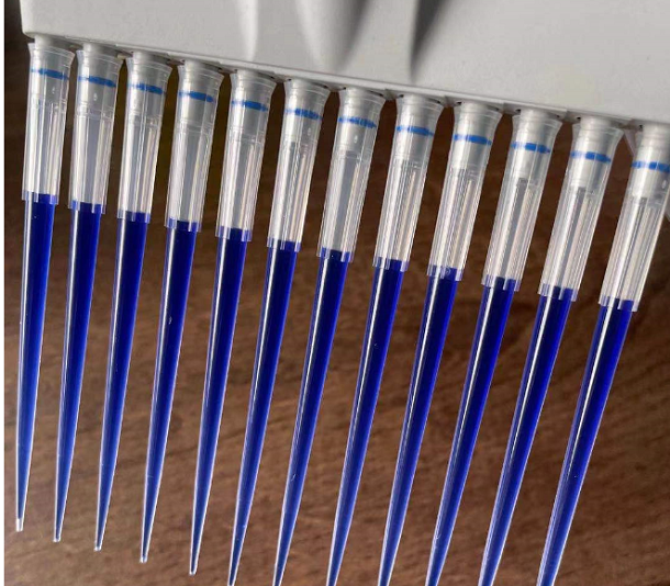 1621216202878794.png 細節(jié)圖 - 副本.png