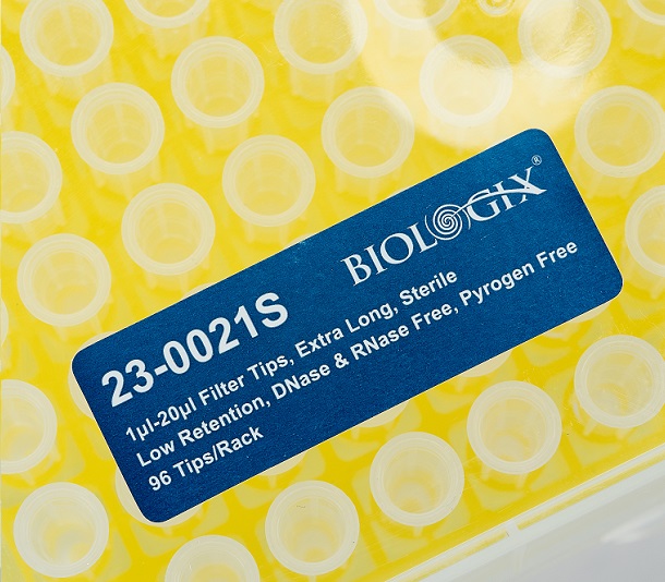 1621216544985924.jpg 23-0021S (1).JPG