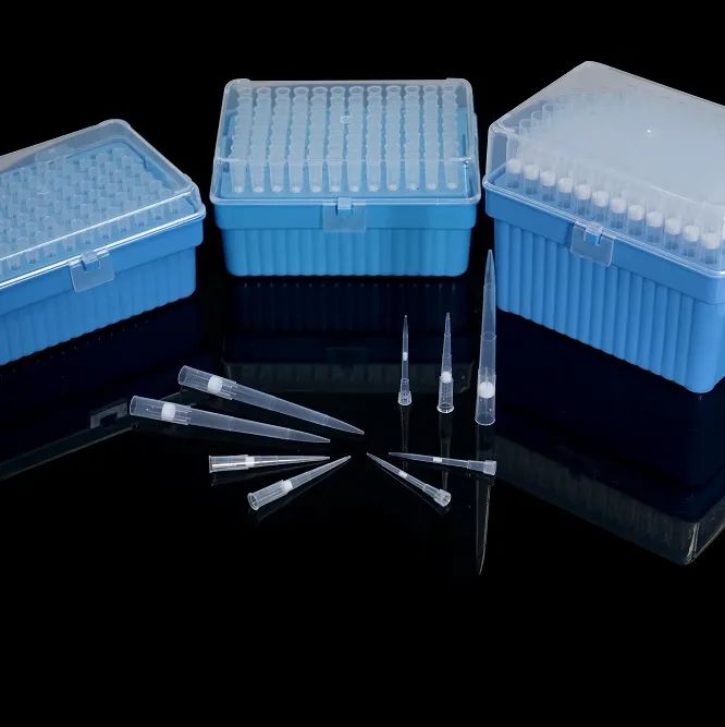 1621216842473896.jpg 640.jpg