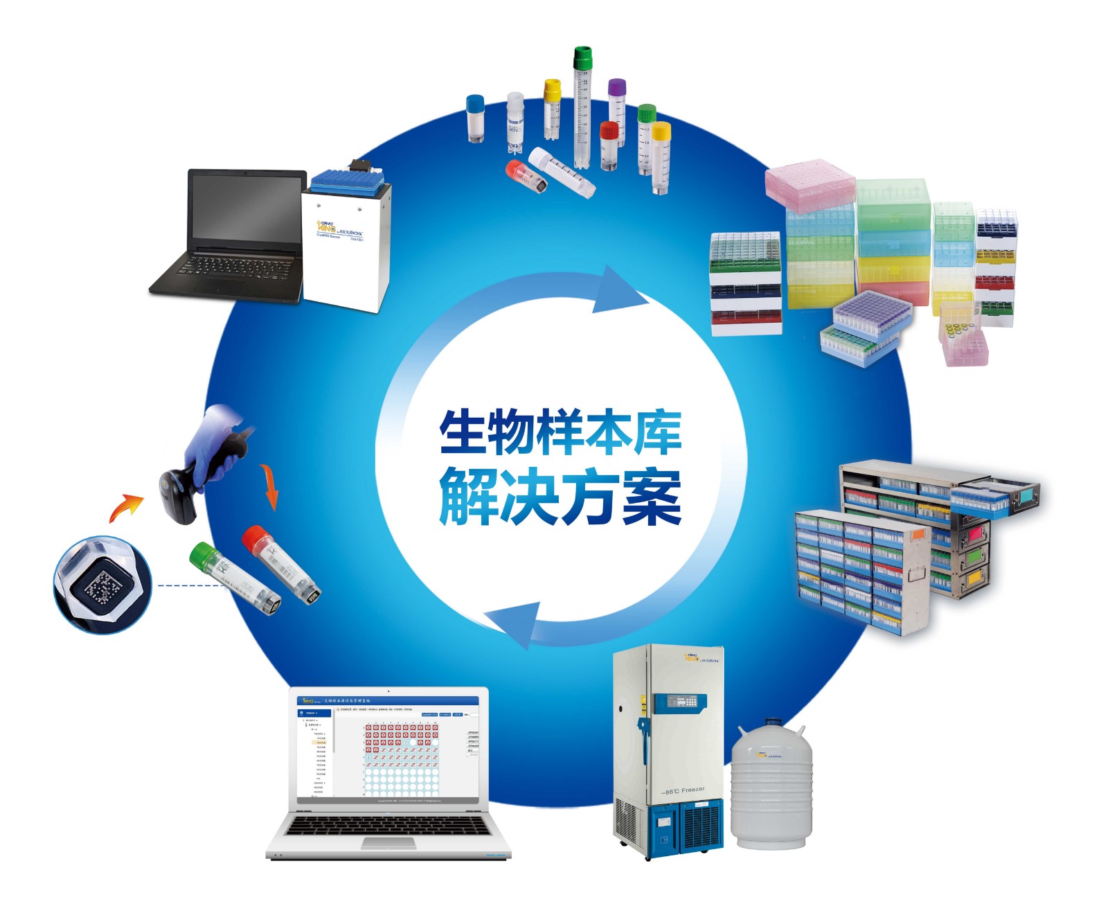 1630891564944790.jpg 圓環(huán)圖.jpg