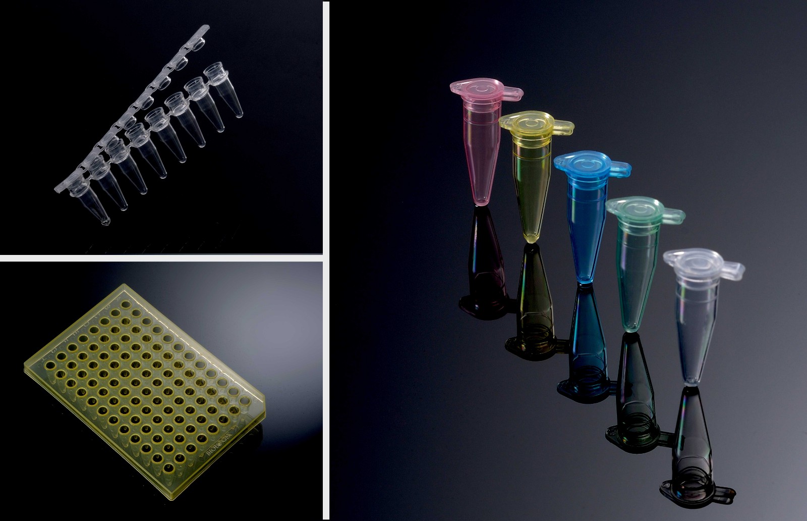 1631251269795523.jpg dc55f2e46571e1bd53b1aaa987099fd.jpg