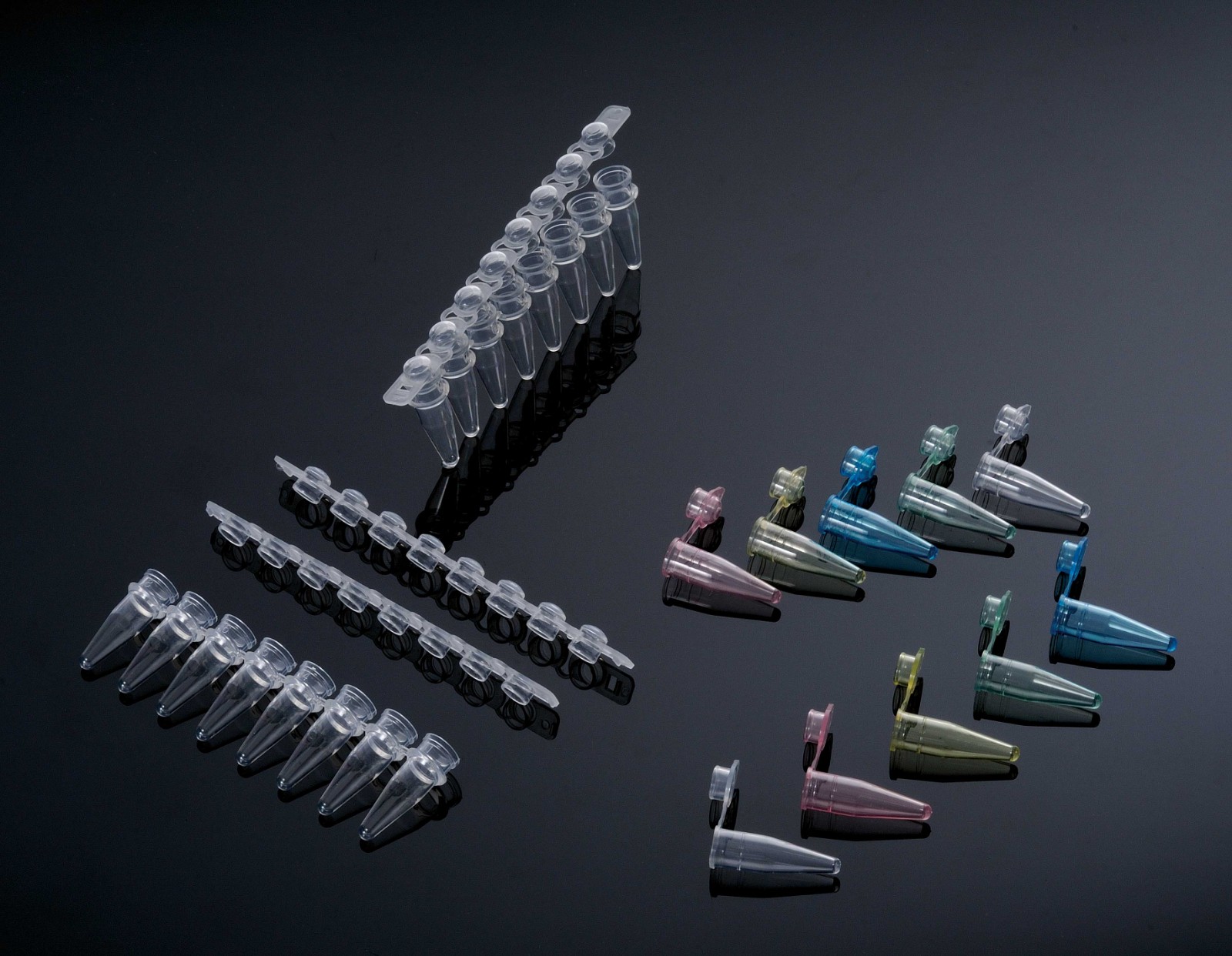 1631251348993903.jpg _DSC4847.jpg