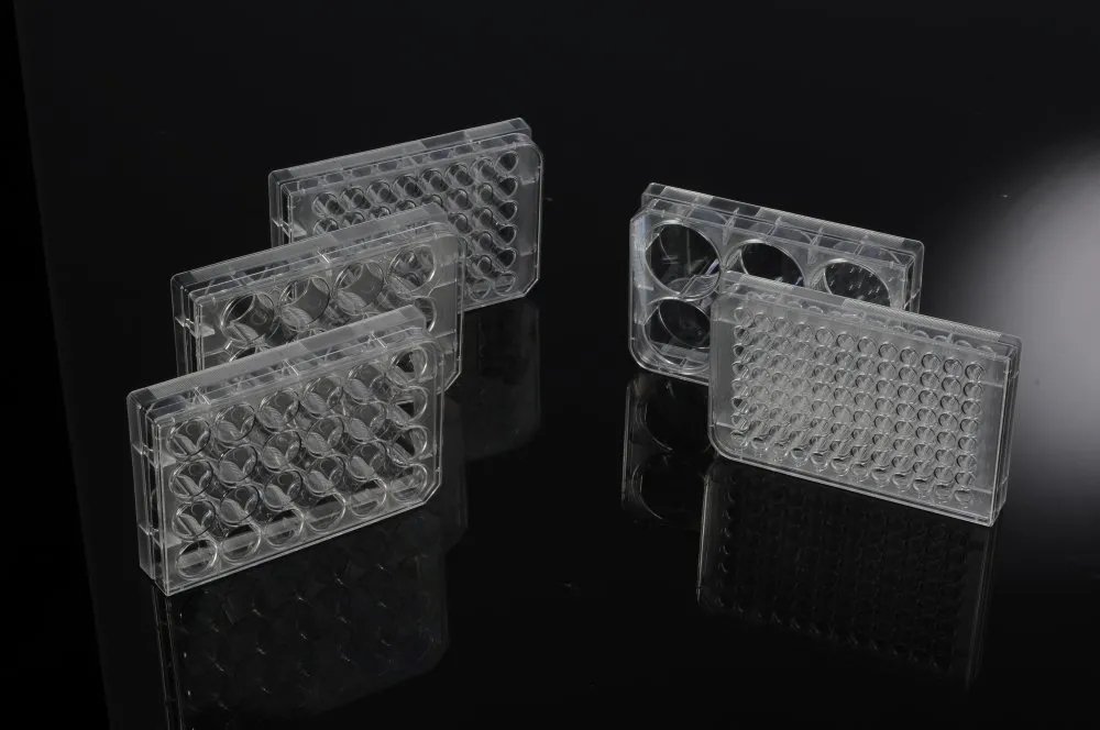 1637911361222992.jpg 640.webp (2).jpg