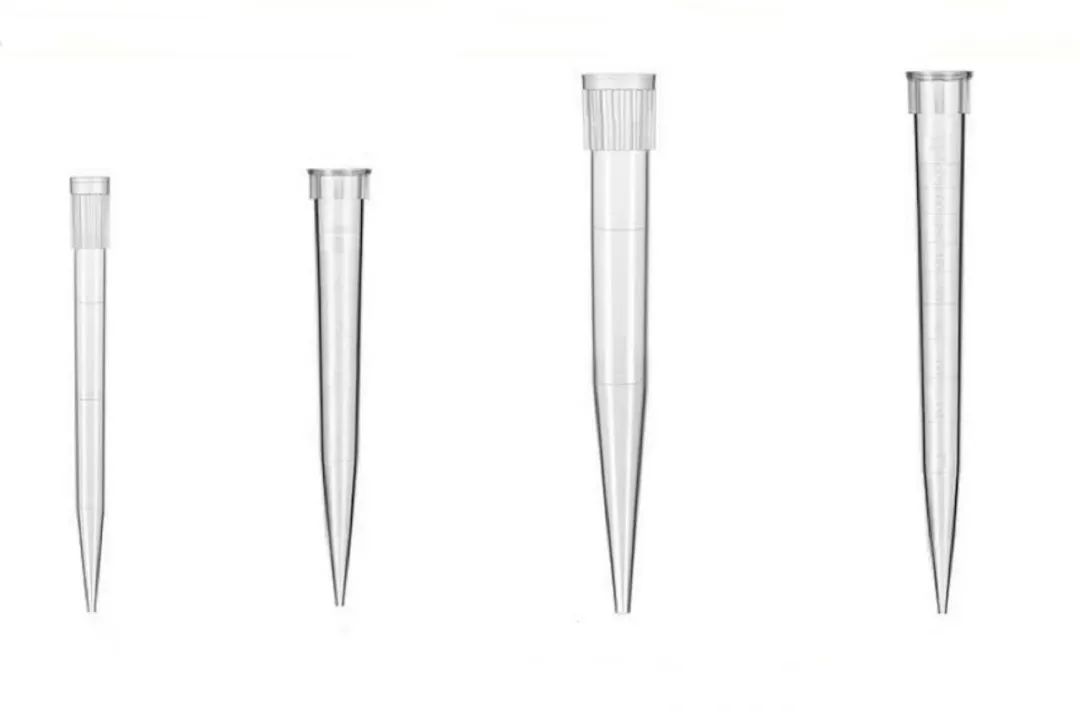 1697160583181201.jpg 1697160583181201.jpg