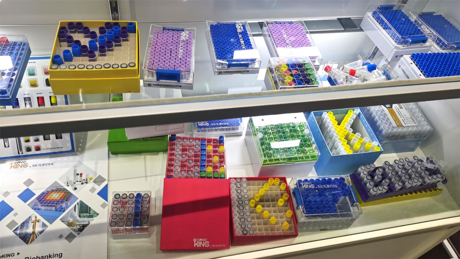 1709286708922887.jpg 1709286708922887.jpg