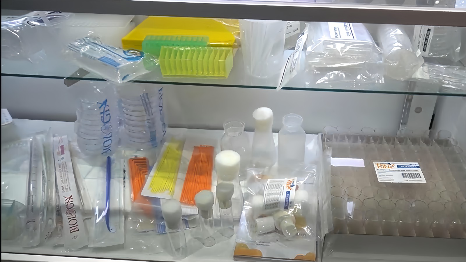 1709286709305916.jpg 1709286709305916.jpg