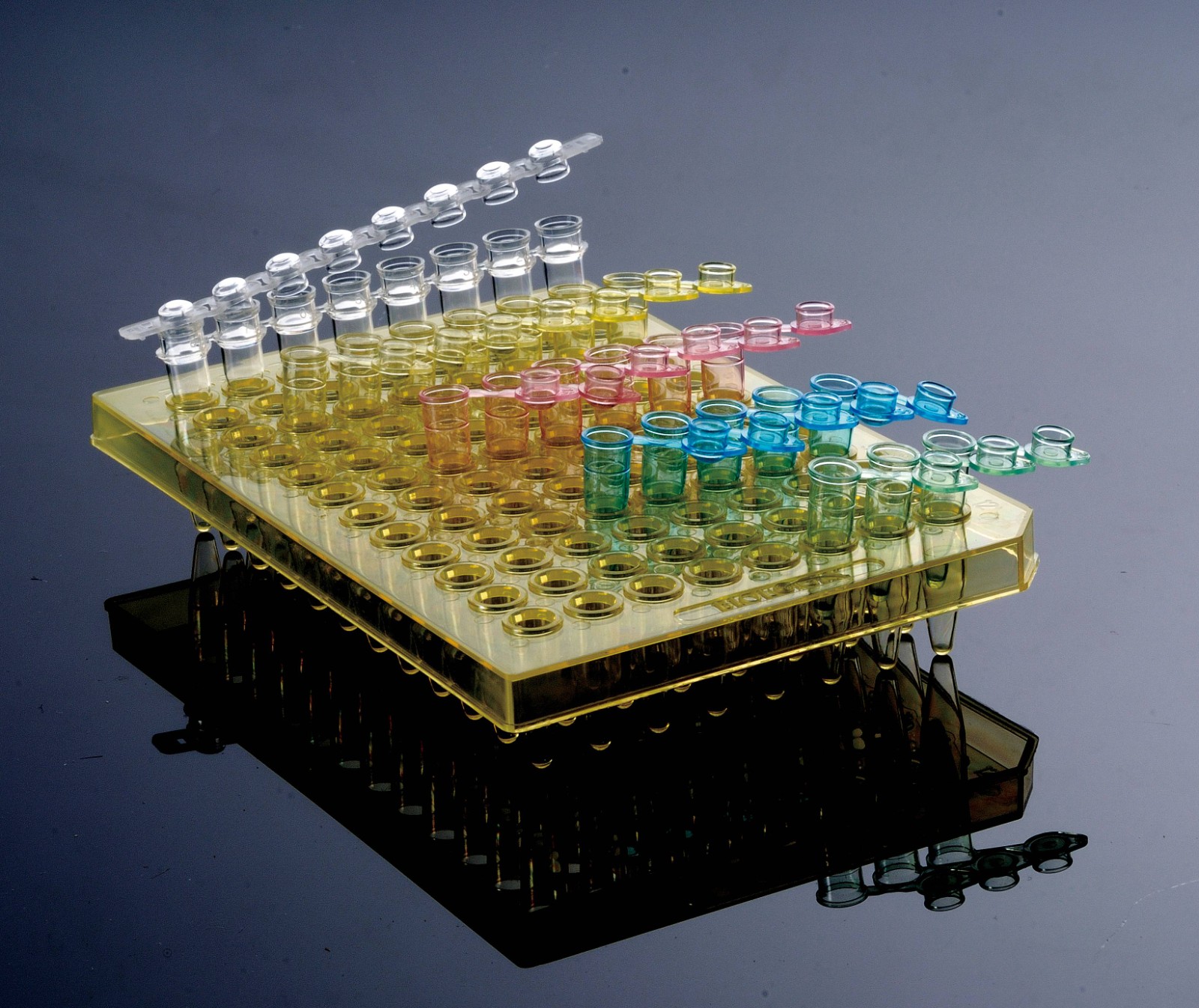 1720070482937968.jpg 1720070482937968.jpg