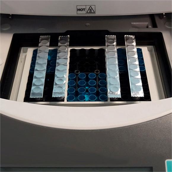 EZcap PCR鋁箔封膜條